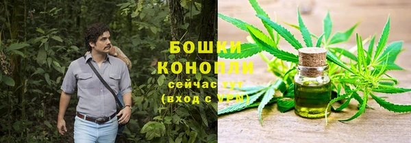 спайс Аркадак